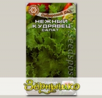 Салат Нежный кудрявец, 1 г