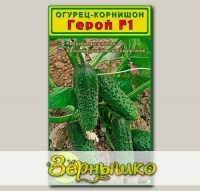 Огурец - корнишон Герой F1, 10 шт.