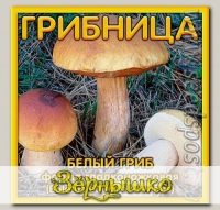 Грибница субстрат микоризный Белый гриб Гладконожковый, 1 л