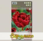 Тюльпан махровый ранний RED BABY DOLL, 8 шт.