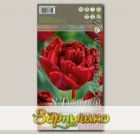 Тюльпан махровый ранний RED BABY DOLL, 8 шт.