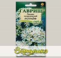 Лихнис халцедонский Раурайф, 0,1 г