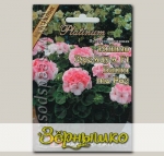 Пеларгония садовая Пинто Премиум Вайт то Роз F1, 5 шт. Platinum