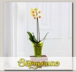 Кашпо Волна орхидейная Желтый, 1,3 л
