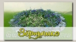 Дизайнерский набор выкройки для клумбы (с семенами) Красота Садовая 3 Бело-голубое безе