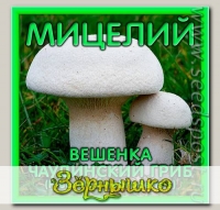 Мицелий зерновой Вешенка Чаудинский гриб, 150 мл