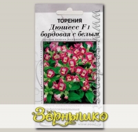 Торения Дюшесс Бордовая с белым F1, 5 шт. Профессиональные семена
