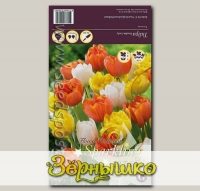 Тюльпан махровый ранний ORANGE/YELLOW/WHITE MIXED, 20 шт.