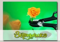 Ножницы для роз с захватом S10