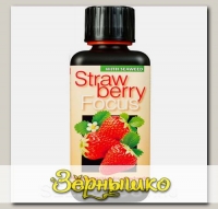 Удобрение для клубники Strawberry Focus, 100 мл