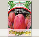 Тюльпан простой поздний МАРИНА ЦВЕТАЕВА, 5 шт. Эксклюзив (Российские гиганты)