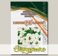 Вербена гибридная Кварц XP Вайт, 250 шт. Профессиональная упаковка