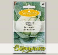 Капуста белокочанная Дитмарская, 95 шт.