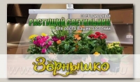 Фитосветильник (фитолампа) растущий ЗДОРОВЬЯ КЛАД, 9 Вт