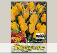Тюльпан ботанический BRIGHT GEM, 10 шт. NEW