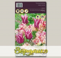 Тюльпан махровый ранний/лилиецветный BELICIA/CLAUDIA MIXED, 20 шт.