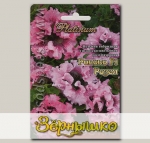 Петуния гибридная гигантско-цветковая Рококо Розея  F1, 12 шт. Platinum