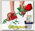 Прихватка пластиковая для защиты рук от шипов роз, 16х12 см ТРЕ-пластик
