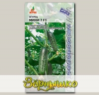 Огурец Мини 7, F1, 5 шт. Селекция Агрос