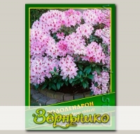 Рододендрон (Rhododendron ririeri), 0,02 г (? 40 шт.)