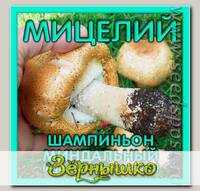 Мицелий зерновой Шампиньон Миндальный, 150 мл