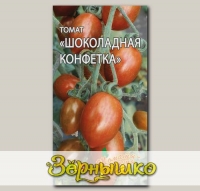 Томат Шоколадная конфетка, 5 шт. Томаты-фрукты