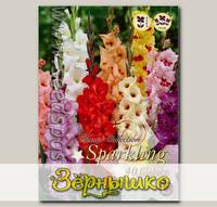Гладиолус MIXED, 40 шт.