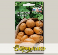 Картофель Триумф, 0,02 г (~ 30-40 шт. ботанических семян)