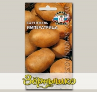 Картофель Императрица, 0,02 г (~ 30-40 шт. ботанических семян)
