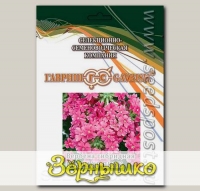 Вербена гибридная Кварц XP Пинк, 250 шт. Профессиональная упаковка