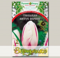 Тюльпан простой поздний ВИТУС БЕРИНГ, 5 шт. Эксклюзив (Российские гиганты)