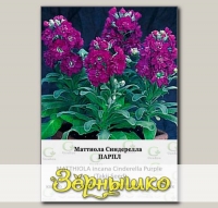 Маттиола Синдерелла Парпл, 50 шт. СЕМКОМ ПРОФИ Takii seeds