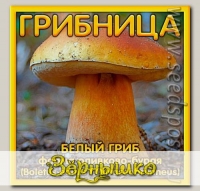 Грибница субстрат микоризный Белый гриб Оливково-бурый, 1 л