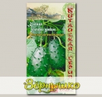Кивано Зеленый Дракон, 5 шт. Китайская серия