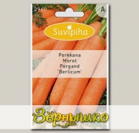 Морковь Берликум, 2135 шт.