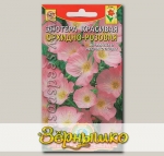 Энотера красивая Орхидно-розовая, 0,05 г