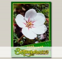 Роза Одноцветковая, 0,1 г (? 40 шт.)