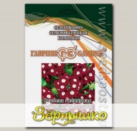 Вербена гибридная Кварц XP Бургунди с глазком, 250 шт. Профессиональная упаковка