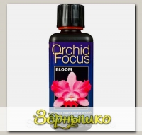 Удобрение для орхидей (Стадия цветения) Orchid Focus Bloom, 100 мл