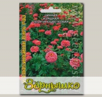 Цинния изящная георгиноцветковая Иллюминейшен Дарк Роз, 50 шт.