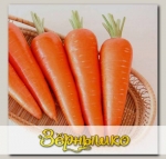 Морковь Абако F1, 10 г СЕМКОМ ПРОФИ