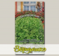 Салат Кредо, 0,5 г Урожай на окне