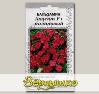 Бальзамин Акцент Малиновый, 10 шт. Профессиональные семена