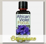 Удобрение для фиалок African Violet Focus, 100 мл
