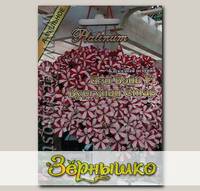 Петуния каскадная Изи Вейв Бургунди Стар F1, 5 шт. Platinum