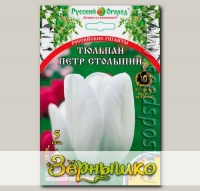 Тюльпан простой поздний ПЕТР СТОЛЫПИН, 5 шт. Эксклюзив (Российские гиганты)