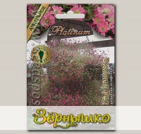 Гипсофила махровая Джипси Роз, 4 мультидраже (в каждом 5-7 семян) Platinum