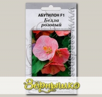 Абутилон Белла Розовый F1, 3 шт. Профессиональные семена