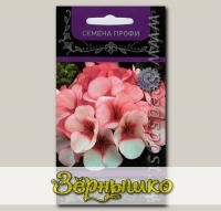 Пеларгония Маверик Бело-розовая, 5 шт. Семена профи