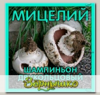 Мицелий зерновой Шампиньон Двукольцовый, 150 мл